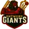 team-flag-icon-AG