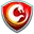 Act meteors cricket logo