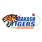 team-flag-icon-AT