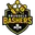 Brussels bashers cricket logo
