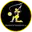 Barcelona gladiators cricket logo