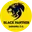Black panthers cricket logo