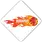 team-flag-icon-DD