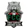 team-flag-icon-FCT