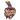 Abu dhabi knight riders development cricket logo