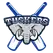 team-flag-icon-TUS