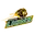 African lions cricket logo