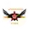 Ace krm panthers cricket logo
