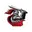 Arabian knights cricket logo