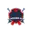 Azaiba xi cricket logo