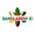 Sri lanka xi cricket logo