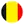 Belgium team logo