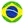 Brazil Women team logo