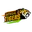 Bengal tigers cricket logo