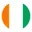 Nigeria cricket logo