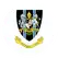 team-flag-icon-CIC