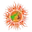 Jammu and kashmir divyang cricket logo