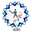 Bihar divyang cricket logo