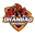 Dhanbad dragons cricket logo