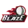 team-flag-icon-DSB