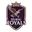 Dubai royals cricket logo