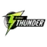 team-flag-icon-DT