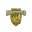 Dubai dare devils cricket logo