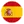 Spain team logo