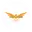 Falcons women cricket logo