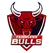 team-flag-icon-FBS