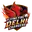 Flying fire delhi chargers cricket logo
