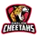 team-flag-icon-GC