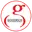 Z games strikers cricket logo
