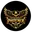 Vasteras united cricket logo