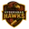 Hyderabad hawks cricket logo