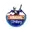 Himachal strickers cricket logo