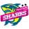 team-flag-icon-HSS