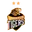 Hubli tigers cricket logo