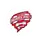 team-flag-icon-COH