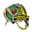Amazonian warriors cricket logo