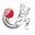 Rajasthan divyang cricket logo