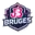 Jb bruges cricket logo