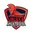 Jeleeb knight riders cricket logo