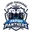 Jayqo panthers faridabad cricket logo