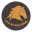 Future mattress cricket logo