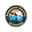 Yssc cricket logo