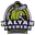 Kalyan tuskers cricket logo