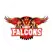 team-flag-icon-KF