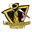 Seven districts cricket logo
