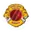United for cricket cricket logo
